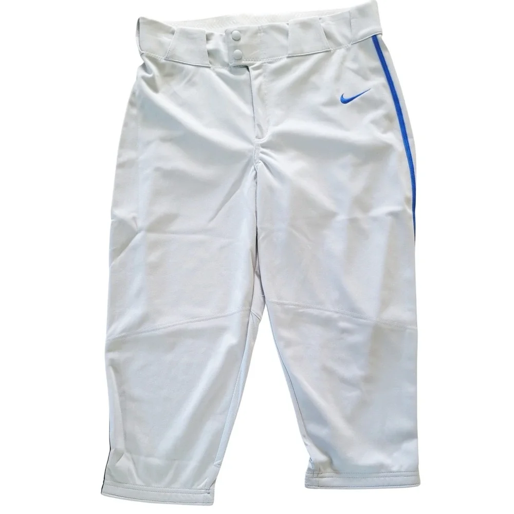 Nike Mens Team Vapor Select‎ Baseball Pants Grey Blue BQ9021-055 Large NWT